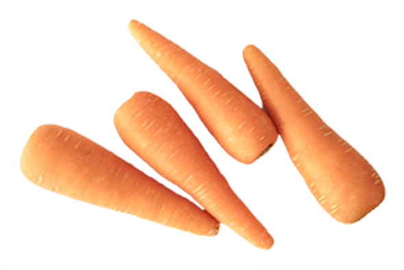 かがやき弁当｜山形県山形市の老舗弁当製造業会社