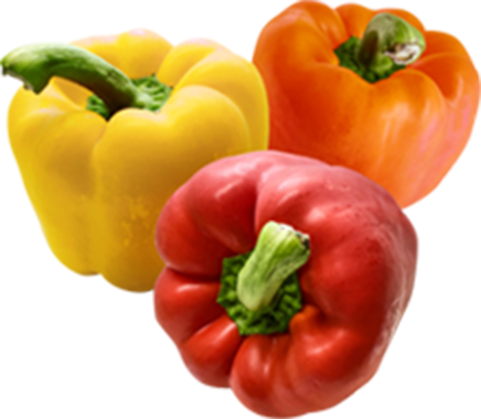 献立 | かがやき弁当