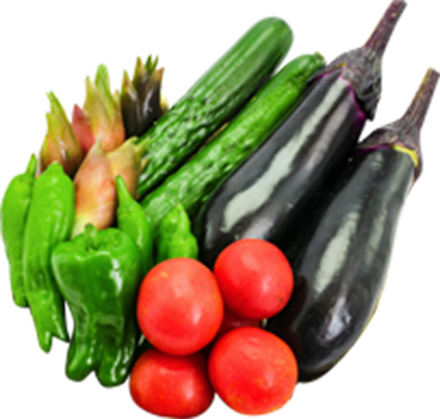 山形市・天童市・上山市の仕出し配達｜かがやき弁当