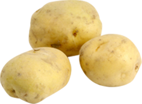 山形県山形市の弁当製造業求人情報｜かがやき弁当