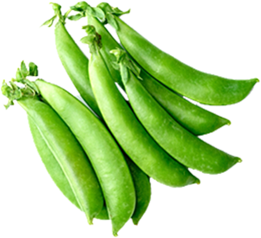 ホームページをリニューアルしました | かがやき弁当